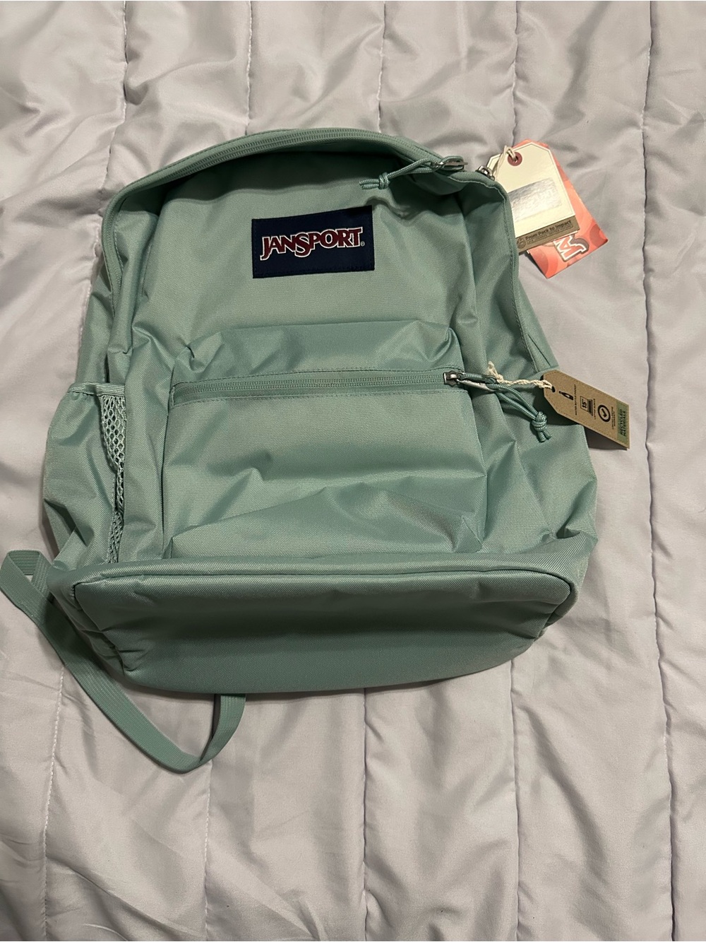 JanSport Classic Backpack in faded sage